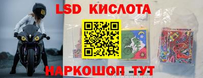 прущие грибы Нальчик