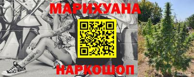 прущие грибы Нальчик