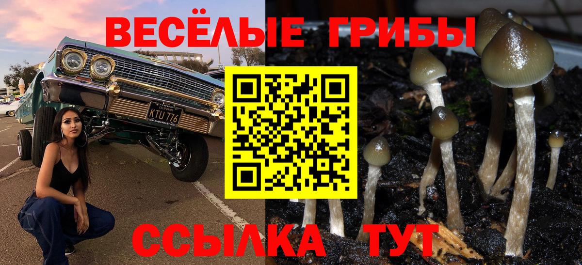 Галлюциногенные грибы GOLDEN TEACHER  наркошоп  Тара  Вход с VPN 