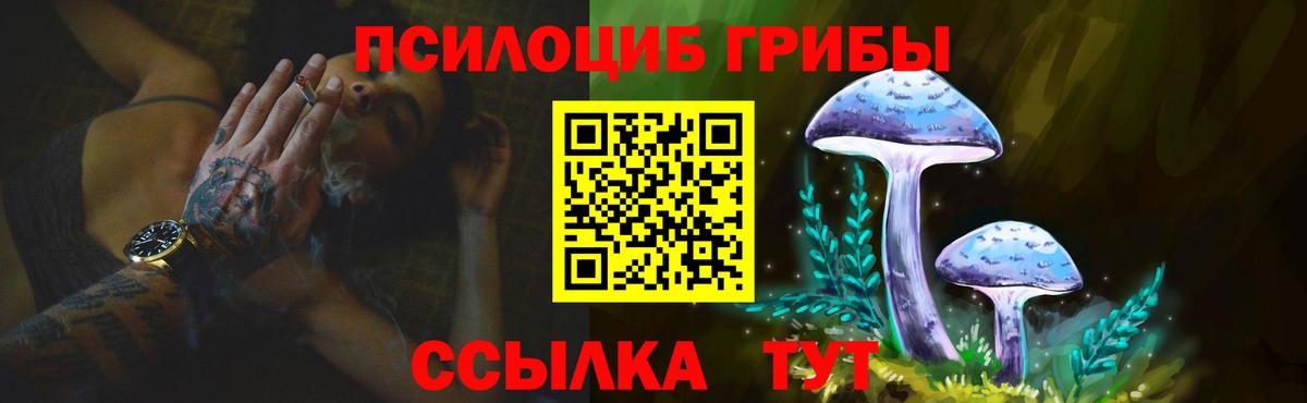 Галлюциногенные грибы GOLDEN TEACHER Тара