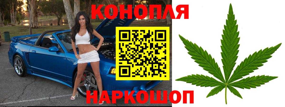 Конопля OG Kush  Канабис White Widow  Каннабис конопля  Вход с VPN  Тара 